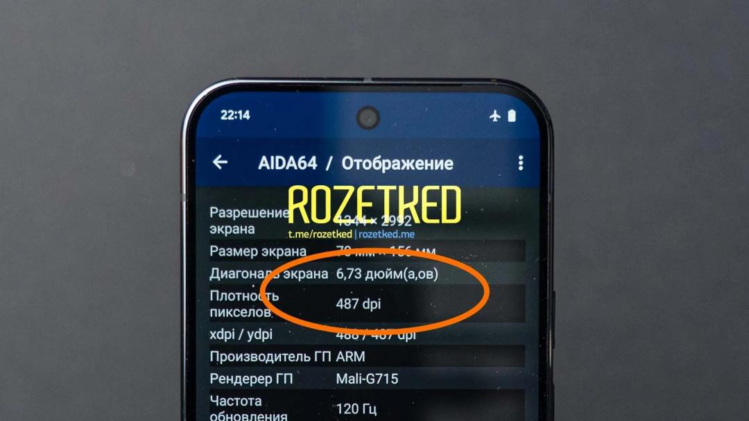 Pixel 9 Pro具備6.73吋螢幕。(圖/翻攝Rozetked.me)