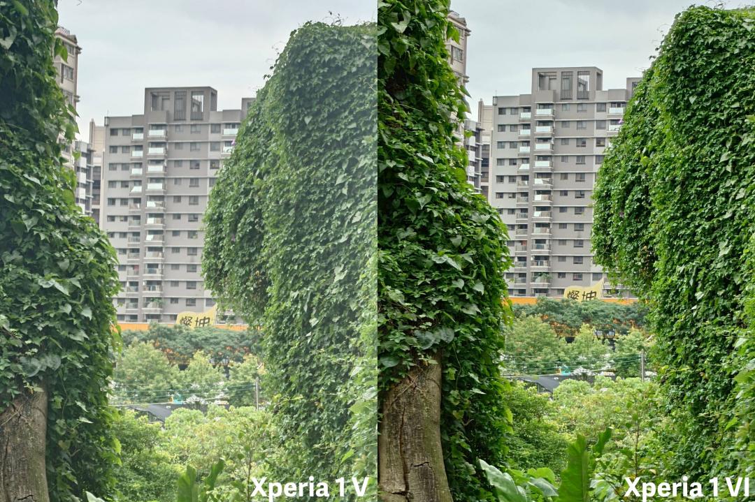 Xperia 1 V 先前有長焦鏡頭畫質鬆散的問題,Xperia 1 VI 在這一次同樣是 5.2 倍的光學焦段,畫質就明顯改善不少。