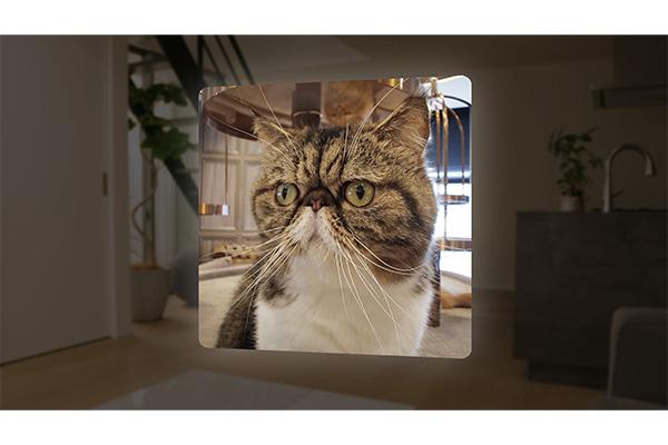 （圖／翻攝鏡頭收購canon官網）