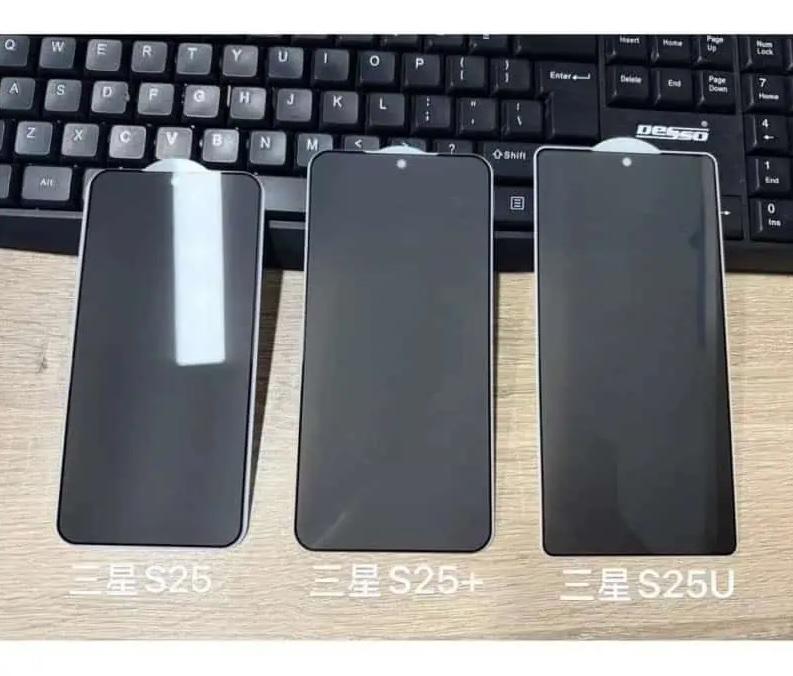 爆料客PO出S25、S25+和S25 Ultra的螢幕保護貼。(圖/翻攝網路)