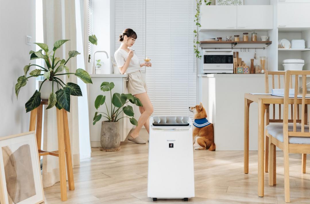 結合空氣清淨的除濕機是時下熱門趨勢，具備二合一功能更能節省空間。圖為夏普DW-WA12FT-S。