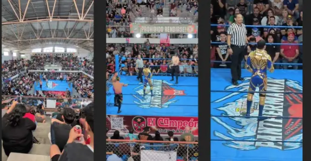 （圖／翻攝9to5google、YouTube）