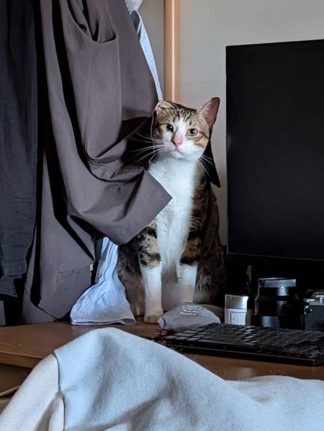 範例照片（圖／記者黃肇祥攝）