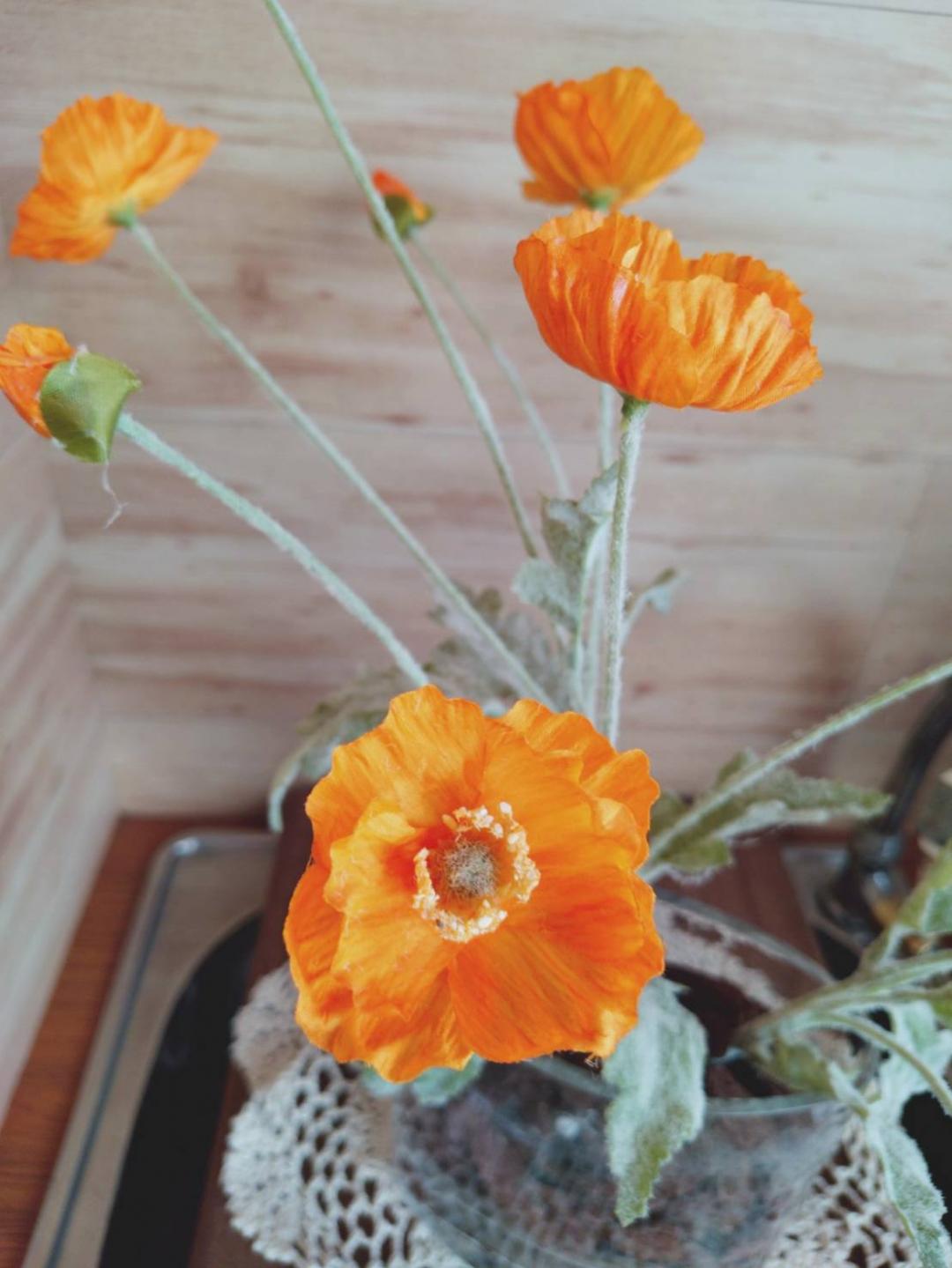 Sony 全新中階手機 Xperia 10 VII 開箱!這 4 點比旗艦機更亮眼