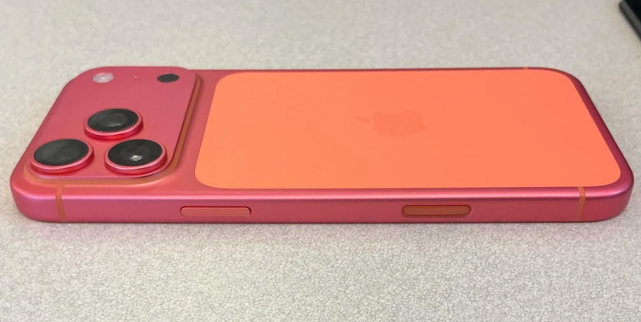 （圖／翻攝 Reddit）