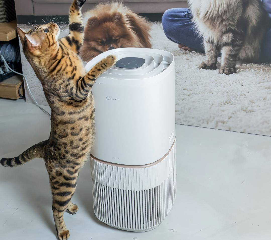 新增寵物安全鎖設計，即使毛孩跳上機器也能安心使用。（圖／伊萊克斯）