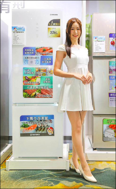 大同雙門下冷凍變頻冰箱，將冷凍室置於下方，取放食材更輕鬆省力。