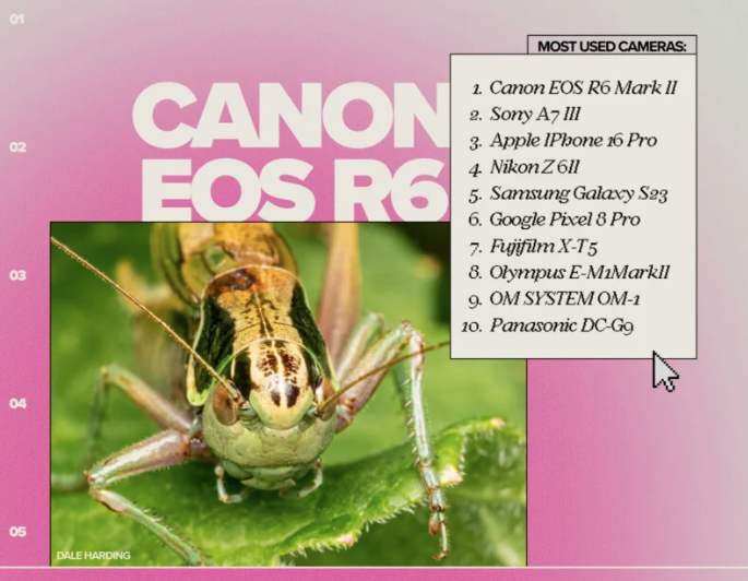 （圖／翻攝Flickr）