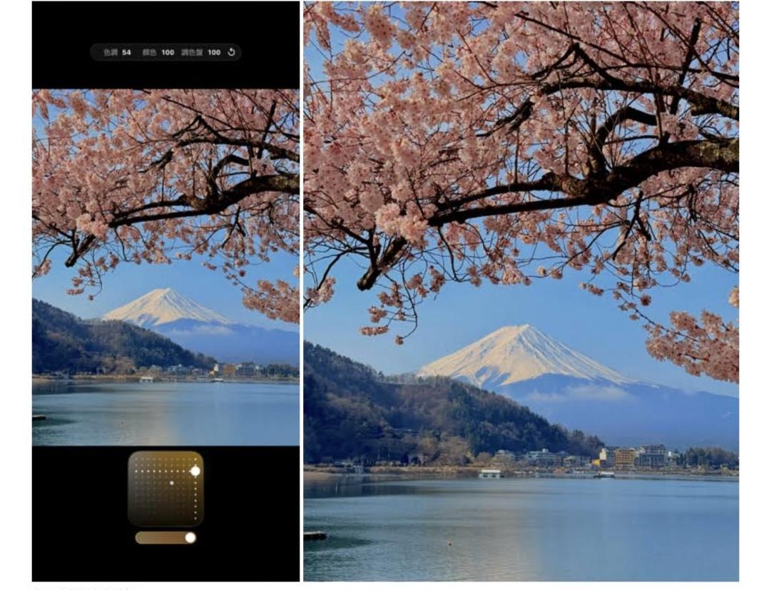 在春季拍攝櫻花的時候，推薦使用「金色」攝影風格，一樣可將調色盤往右上調整，提升明亮度與鮮艷度，讓花朵色彩更加飽滿。(圖／紀映光 @chillinlight )