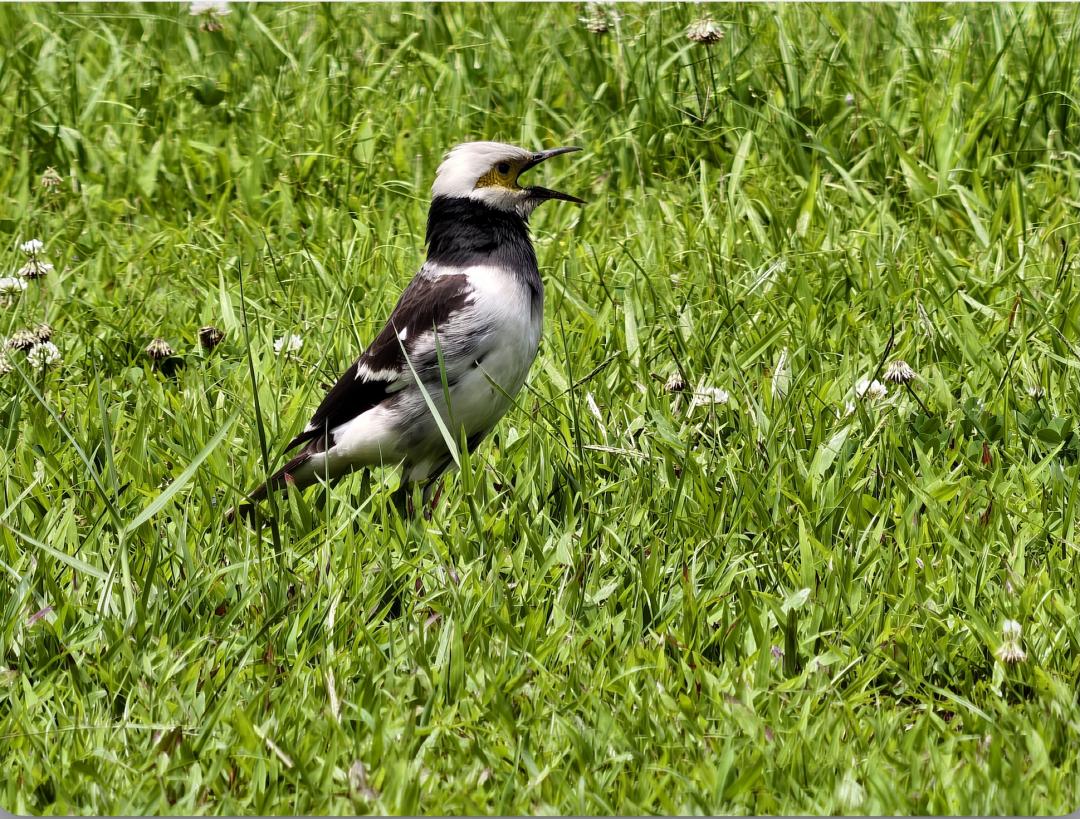1,600mm。(圖／記者吳佩樺攝)
