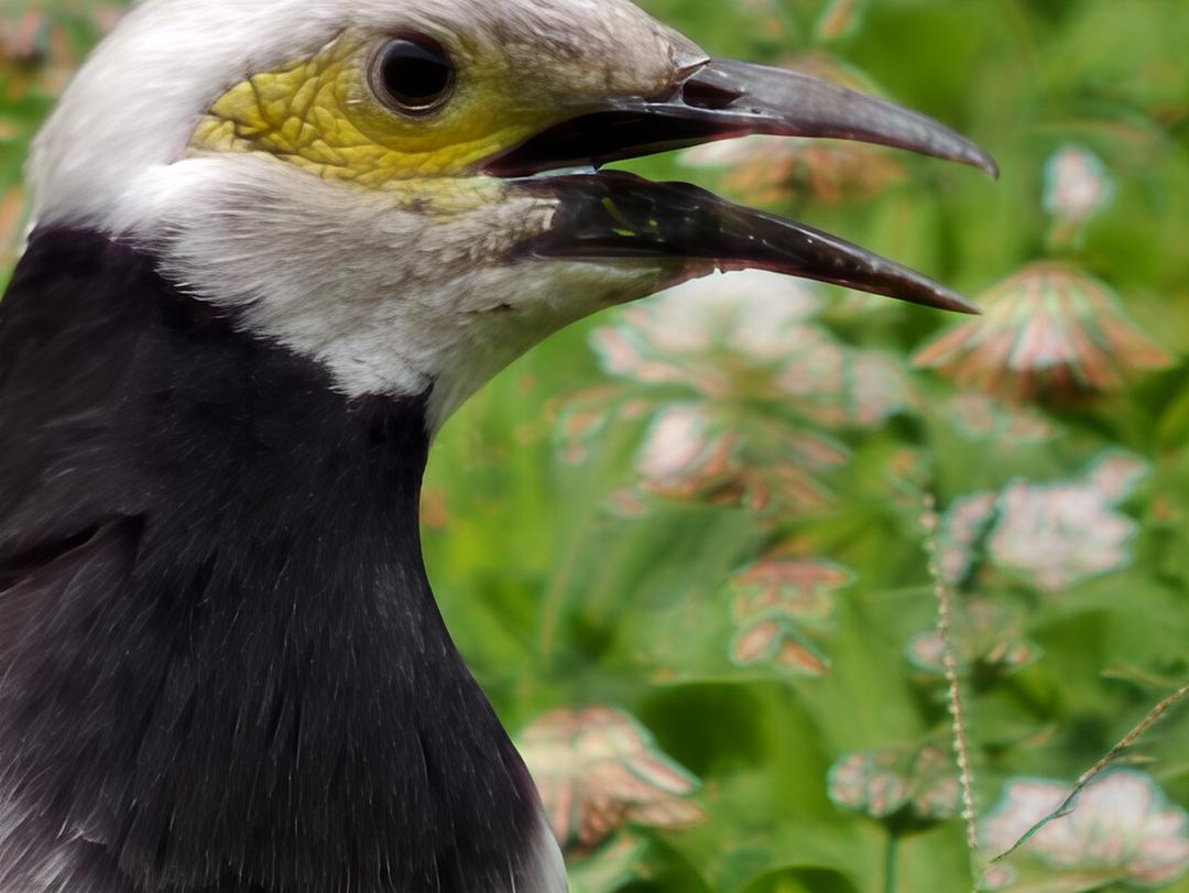 8,100mm。(圖／記者吳佩樺攝)
