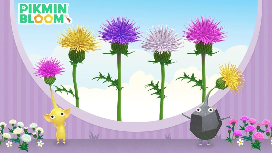 皮克敏 10 月新增白色、黃色、紅色和藍色薊花。（圖片來源：Pikmin Bloom）