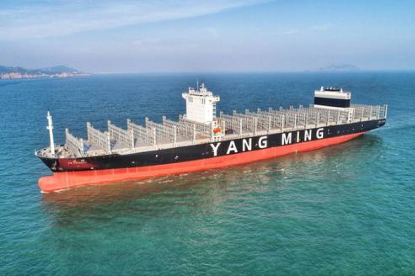 陽明獲利飆新高 攪亂一池春水