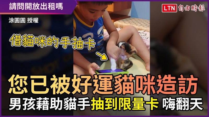 您已被好運貓咪造訪! 男孩「藉助貓手」抽到限量卡 嗨翻天 您已被好運貓咪造訪! 男孩「藉助貓手」抽到限量卡 嗨翻天