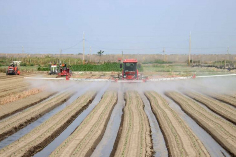 彭博:台最快12月引進10萬印度勞工 恐激怒中國 彭博:台最快12月引進10萬印度勞工 恐激怒中國