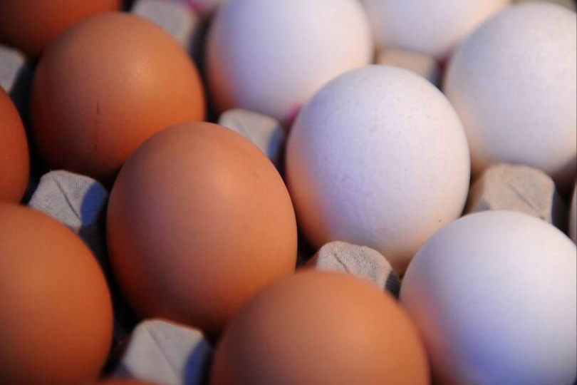 紅蛋比白蛋價格高 CNN揭密