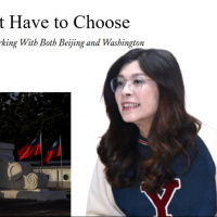 國民黨不怕與鄭麗文共亡？