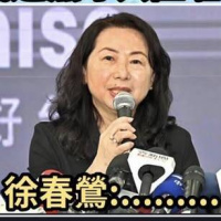 徐春鶯就是匪諜 中國對台滲透已是全方位