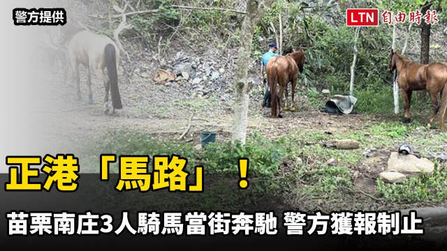 正港「馬路」！苗栗南庄3人騎馬當街奔馳 警方獲報制止