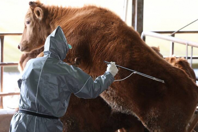 劉哲瑋：中國爆發嚴重口蹄疫疫情 開放來台非「 惠」台～