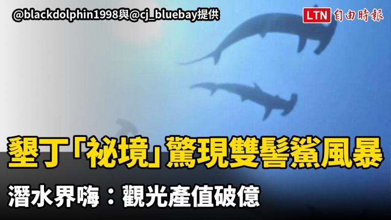 不用飛日本！墾丁「祕境」驚現雙髻鯊風暴 潛水界嗨：觀光產值破億