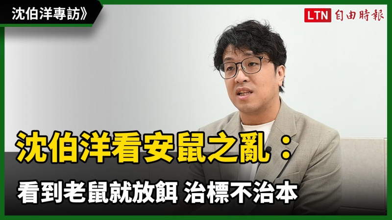 犯罪學老師上線！ 沈伯洋看安鼠之亂：看到老鼠就放餌 治標不治本