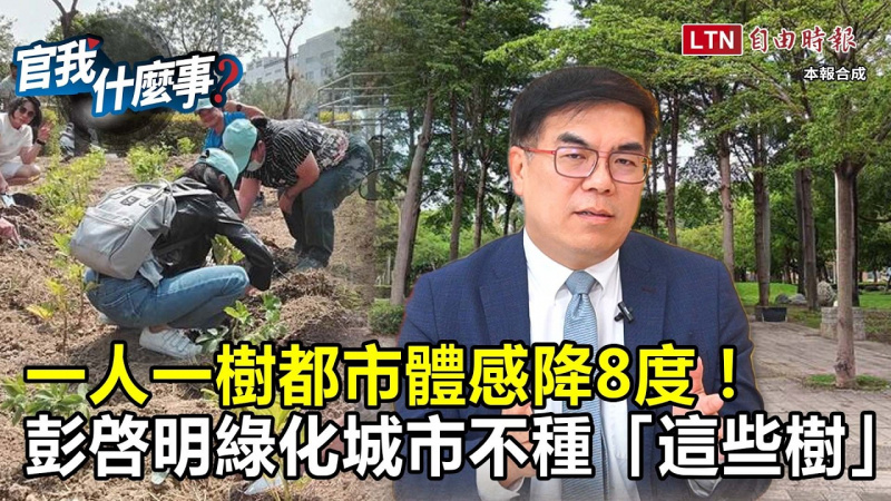 一人一樹都市體感降8度！防堵全台夏季40度酷暑！環境部長彭啓明綠化城市不種「這些樹」【官我什麼事】
