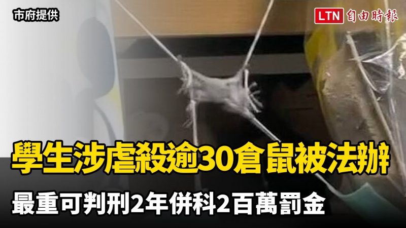 高雄1大學生涉虐殺逾30倉鼠被法辦 最重可判刑2年併科2百萬罰金 高雄1大學生涉虐殺逾30倉鼠被法辦 最重可判刑2年併科2百萬罰金
