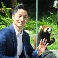 台灣沒有必要再引進中國任何野生動物