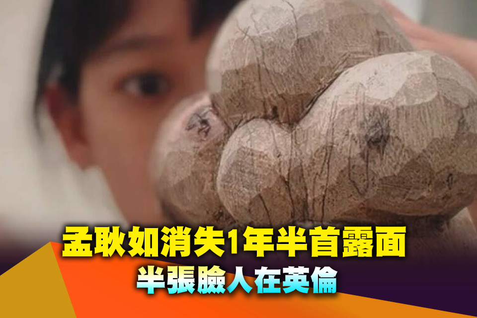 孟耿如消失1年半首露面 「半張臉」人在英倫
