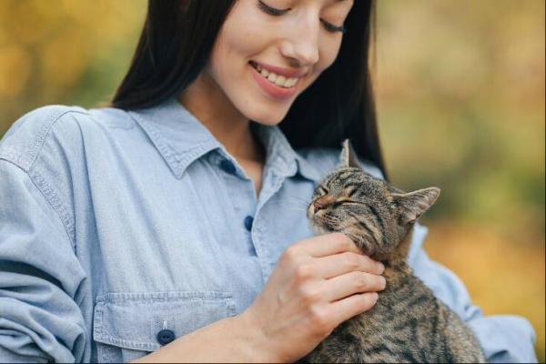 10分鐘就紓壓！ 研究揭嚕貓、嚕狗身體出現這變化