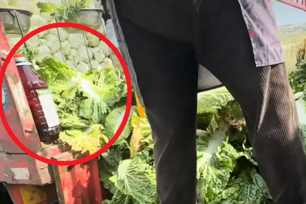 中國白菜驚爆泡甲醛 專家警：「福馬林」吃不得