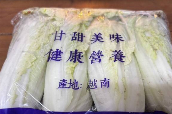 甲醛白菜危機 藥師：該在意長期高劑量暴露
