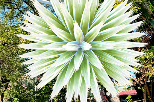 第10屆公共藝術獎揭曉　《植物元》奪評審特別獎