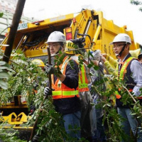 蔣市長，樹枝應留給童軍市長獎得主去撿