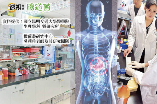 乳癌治療影響荷爾蒙代謝 悄悄改變腸道菌