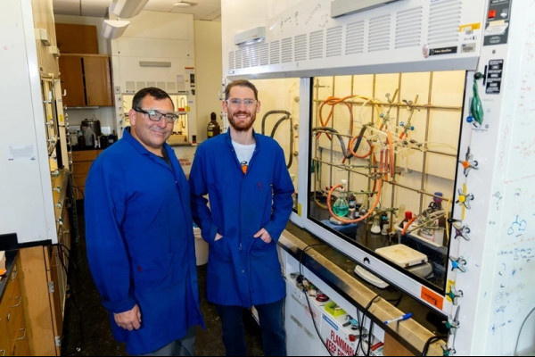 打破化學鐵律！科學家幫分子「穿盔甲」 終獲證實維生素B1瘋狂理論