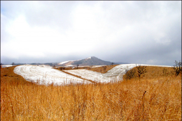 【家庭plus．另一種生活】資訊洪流 啟動數位冥想