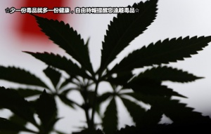 老師請學生吃零食 惹上「大麻」煩 老師請學生吃零食 惹上「大麻」煩