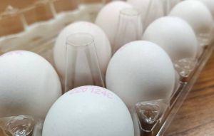 農委會保春節供應 成立雞蛋調度平台