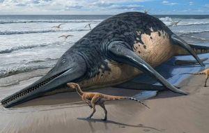 史前巨獸!英出土25公尺長巨型魚龍化石