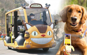 吉卜力公園貓巴士拒導盲犬搭乘 知事致歉了