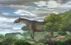 17噸長頸無角犀牛 史上最大陸地哺乳動物
