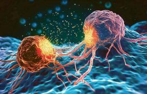 抗癌新曙光！科學家發現殺手基因可終結癌細胞