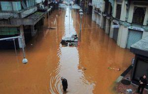 巴西南部洪災增至56死、逾60失蹤