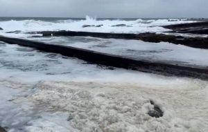 奇觀！新北貢寮海岸出現「泡沫海」