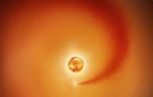 火馬年靠人緣助攻！4星座「轉危為機」強運當頭