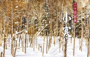 今天小寒》別再補囉！出現4症狀就是補過頭