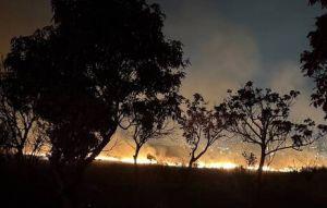 驚！台中火燒山 火光沖天