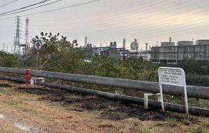 為1隻綠鬣蜥250元獎金 他觸電2度灼傷還恐面臨賠償